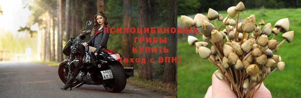 a pvp Михайловск