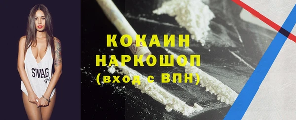 дживик Надым