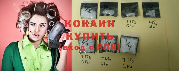 крисы Медвежьегорск